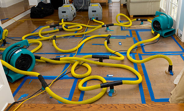 Professional Water Extraction technician working in Cannon Falls, MN